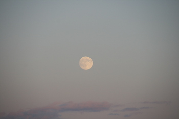 月浦からの月