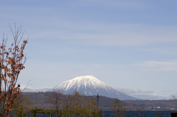 羊蹄山(蝦夷富士)